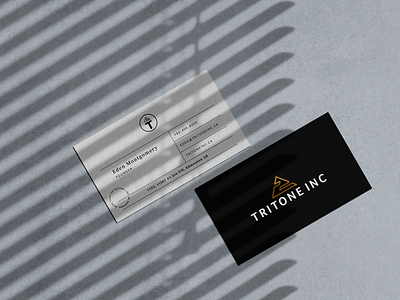 Tritone INC brand design branding branding design design icon identity identity design logo logotype real estate typography