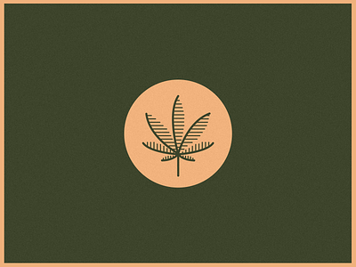 Cannabis leaf brand design branding cannabis cannabis branding cannabis design cannabis logo design icon identity illustration leaf logo
