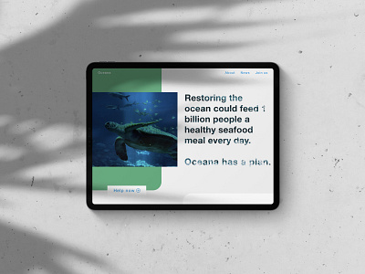 Oceana Tablet View app branding clean design enviroment ios ios 13 ios app ipad minimal modern ocean sketch sketchapp ui ux