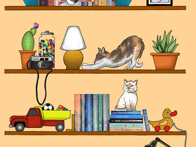 Cats On Shelves (2)