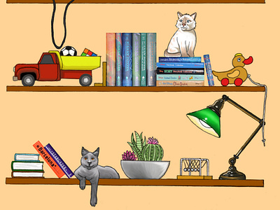 Cats On Shelves (3)