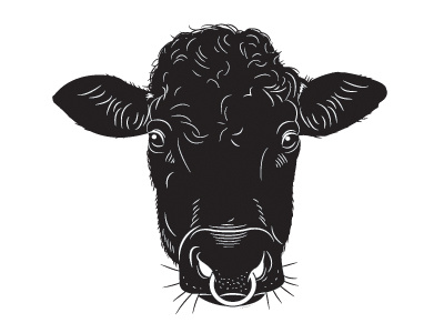 Moody Cow - Male toilet sign angus cow illustration moody cow vector