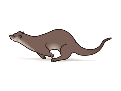 Running Otter illustration otter vector