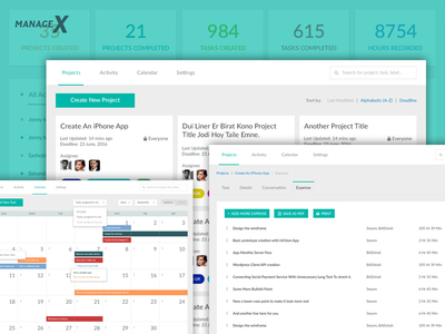 Managex - WordPress Project Manager Plugin dashboard expense manager plugin project manager task task manager wordpress