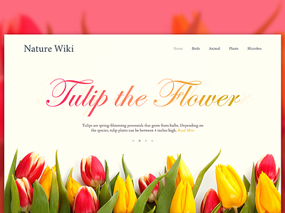 Experimental Flower Website Header flower gradient hero image interface ui web