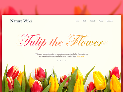 Experimental Flower Website Header