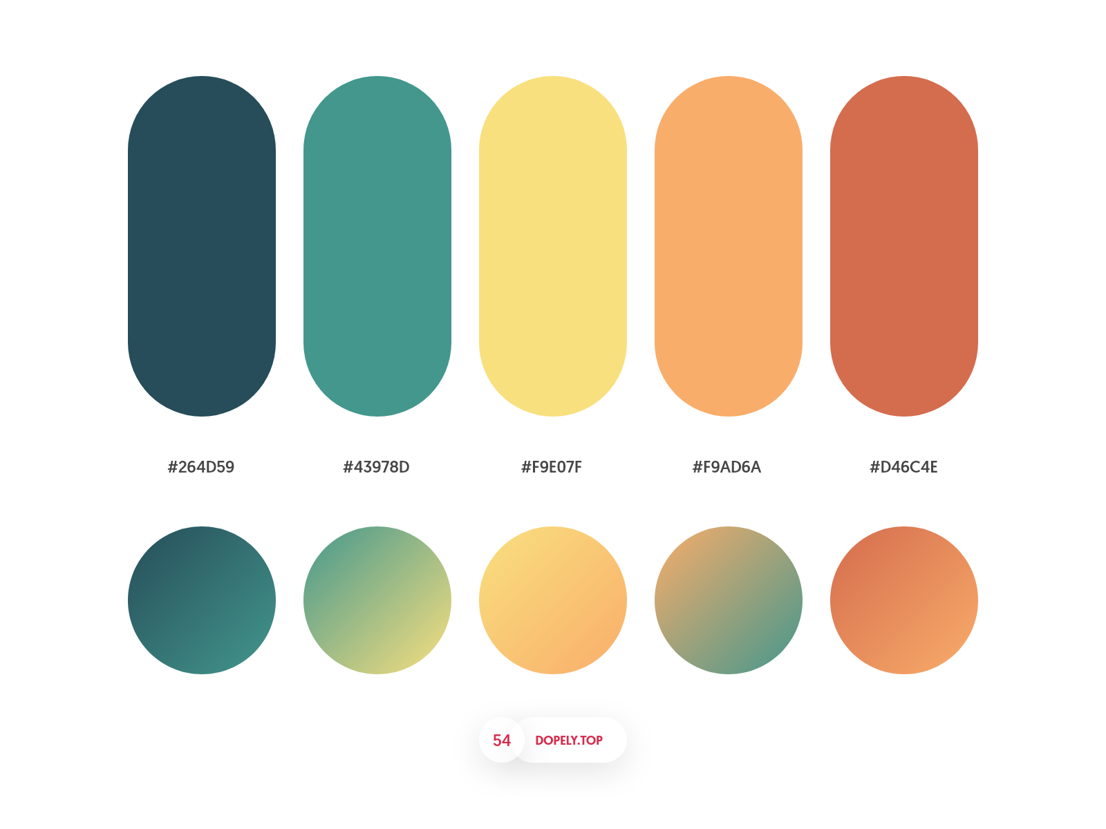 Dopely Colors #54 by Mehdi Khoda on Dribbble