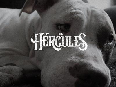 Hércules - Lettering