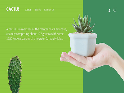 CACTUS homepage design