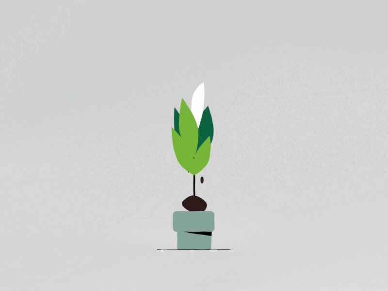 Plant animation leaves plant pop