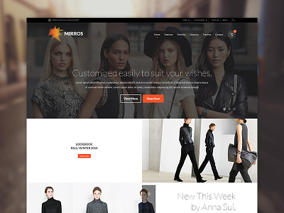 Mirros eCommerce Page dzoan ecommerce free mirros one page psd template theme wordpress