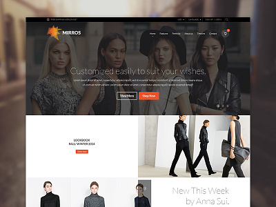 Mirros eCommerce Page