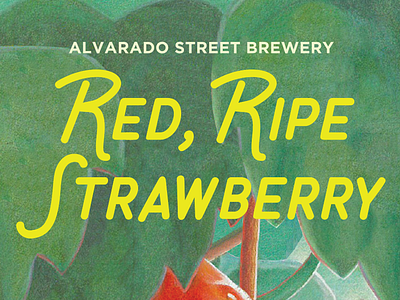 Red, Ripe Strawberry IPA beer childrens book design drink fruit mouse packaging strawberry vegetable