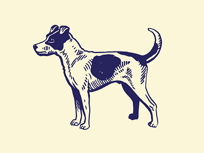 Waggin' The Dog america animal beer design dog handmade illustration politics president