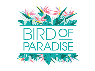 Bird of Paradise bird of paradise branding custom type design illustration logo pink teal typography vector