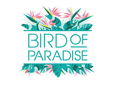 Bird of Paradise