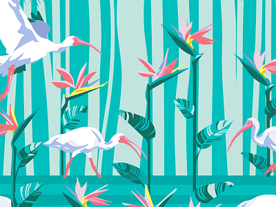 Bird of Paradise Mural bird illustration bird of paradise ibis illustration mural pink teal vector