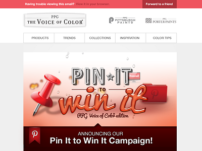 Pinterest Promo Email Design