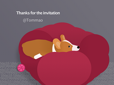 Corgi Ludan hello dribbble sketch