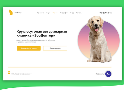 Veterinary clinic Website Design animals ux web web design webdesign website