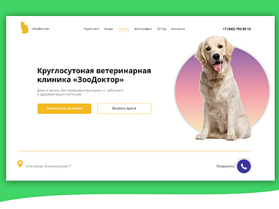 Veterinary clinic Website Design
