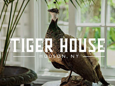 Tiger House brand identity branding branding agency custom lettering handlettering hospitality identity design logo rebrand