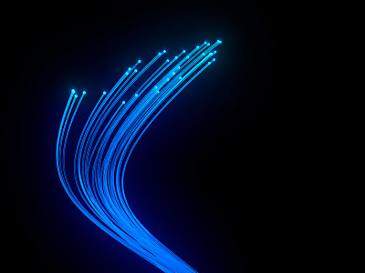 Fiberoptic 002