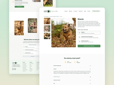 Animal rescue website redesign - Głosem Zwierząt design ui ux web