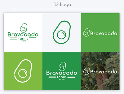 Bravocado Farms Style Guide, Logo branding design illustration illustrator logo minimal vector web
