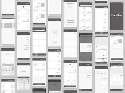 Wireframe  System