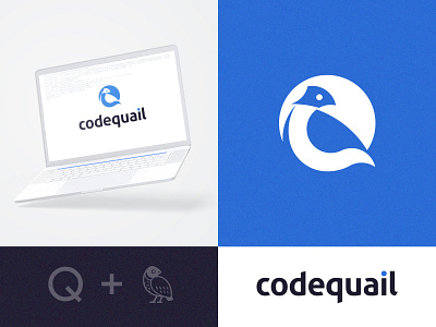 Codequail Logo Design