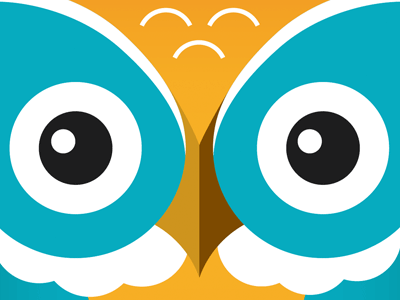 Owl animal illustration owl vector