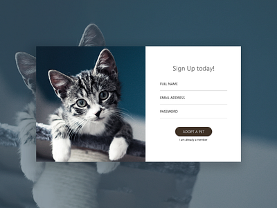 SIGN UP- ADOPT A PET #DailyUI 001 adobe web signup pet cat