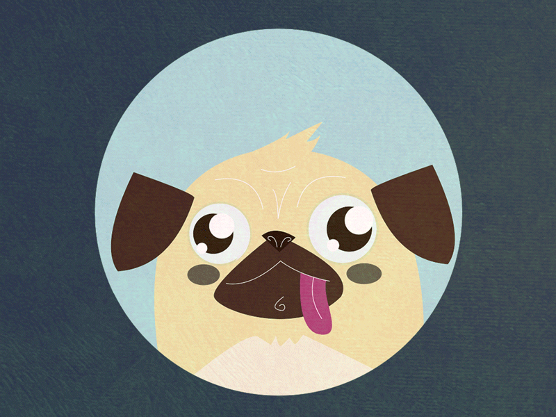 Curious Pug animation around curious dog eyes fat gif happy pug tongue