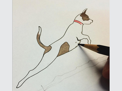 Jack Russel Logo animal brand design dog drawing jack logo mark process rusell sketch style