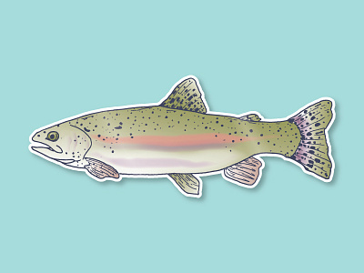 Trout Sticker decal fish illustration outdoors patch trout vector