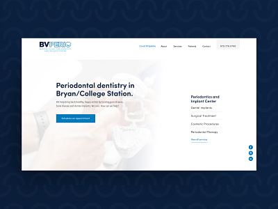 BV Perio Website branding dentistry design logo type ui website