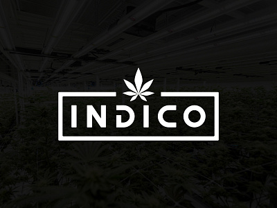 Indico Cannabis branding cannabis clean design icon logo logotype type vector
