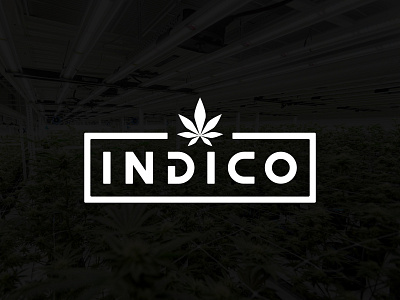 Indico Cannabis