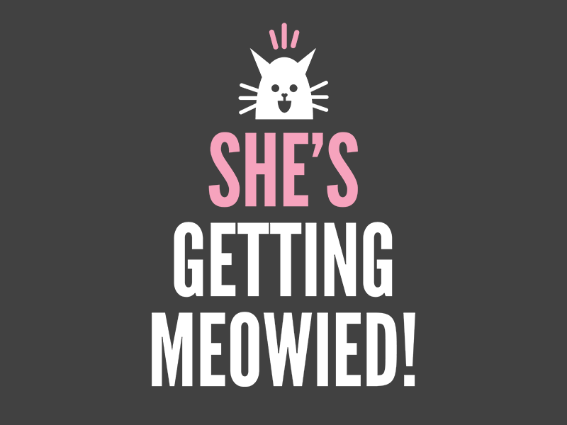 Shirt Design graphic design minimalist typography wedding married bachelorette cute cat shirt tshirt tshirt design shirt design