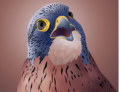 Kestrel adobeillustator ai animal art artwork bird digitalart eagle falcon illustraion kestrel vector wildbird
