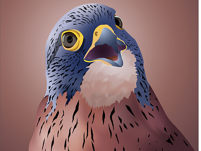 Kestrel adobeillustator ai animal art artwork bird digitalart eagle falcon illustraion kestrel vector wildbird