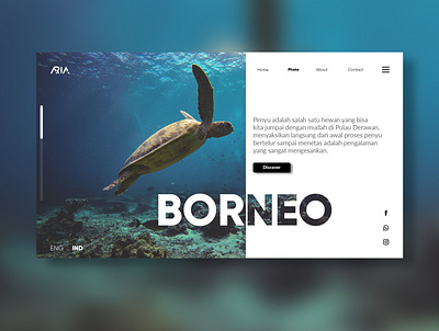 landing page Photo Discover clean ui design illustration indonesia landing page landingpage sea turtle typography ui uiux uiux design uiuxdesign ux web website white