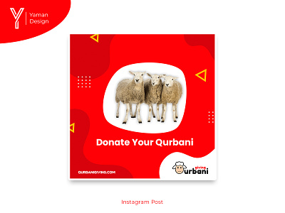 Qurbani Giving - Instagram Post branding charity designs design graphic design logo social media posts