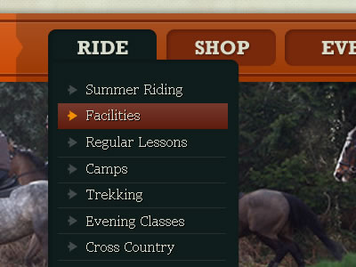 Equine Website equine horse nav