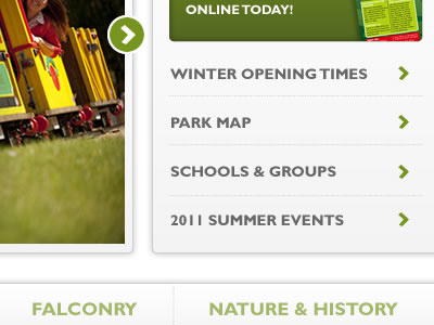 Theme Park Website