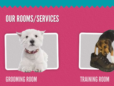 Dog Grooming Website cute dog pink