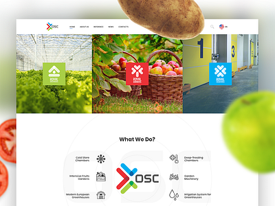 Website for OSC agriculture agro clean coldstore flat food fruit garden greenhouse osc web