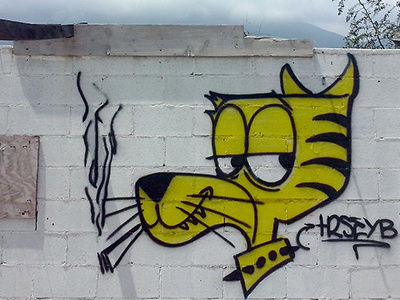 Tiger graff graffiti illustration mexico monterrey spray