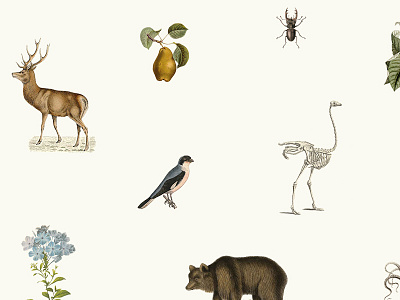 Vintage Wallpaper background bear bird bug deer flower pear repeating wallpaper